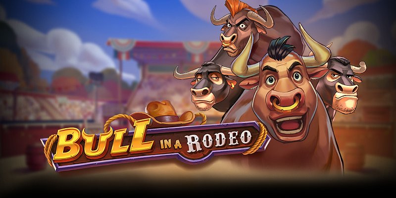 Bull in a Rodeo